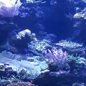 Meet your Posher, Camila